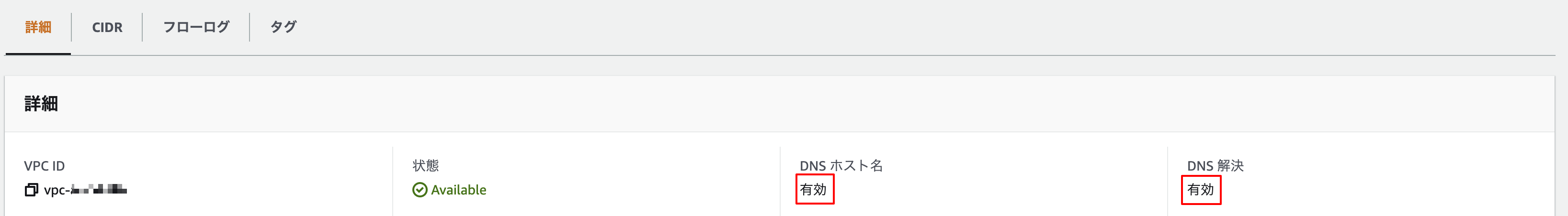 VPC の DNS 設定確認